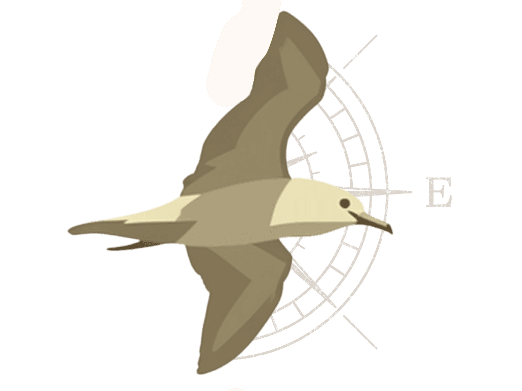 llevant bird east