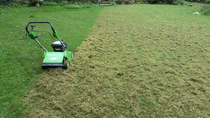 FLL - Lawn Renovation