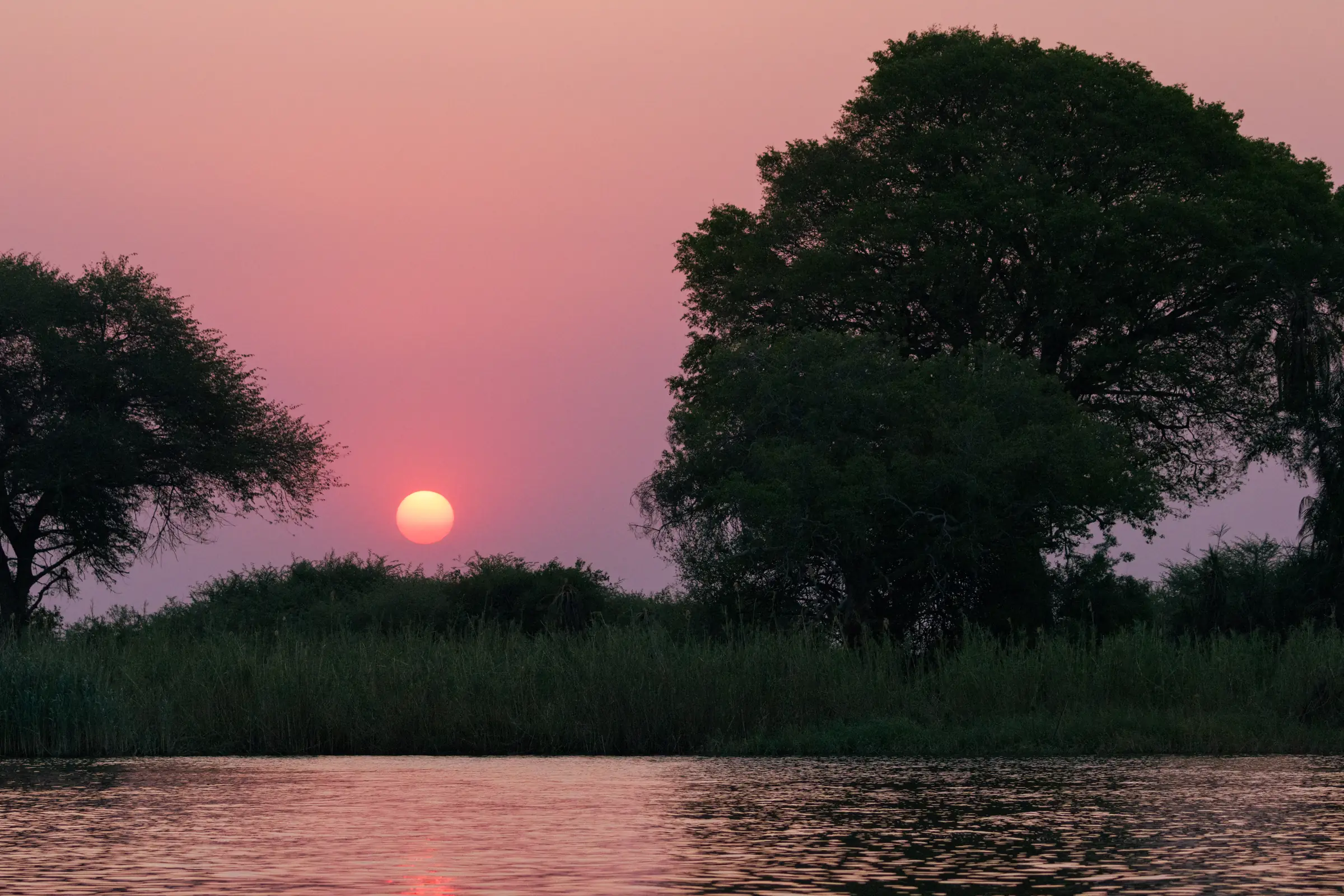 Sunset over the water with reeds and trees along the bank.