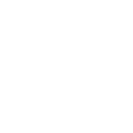 SFR logo