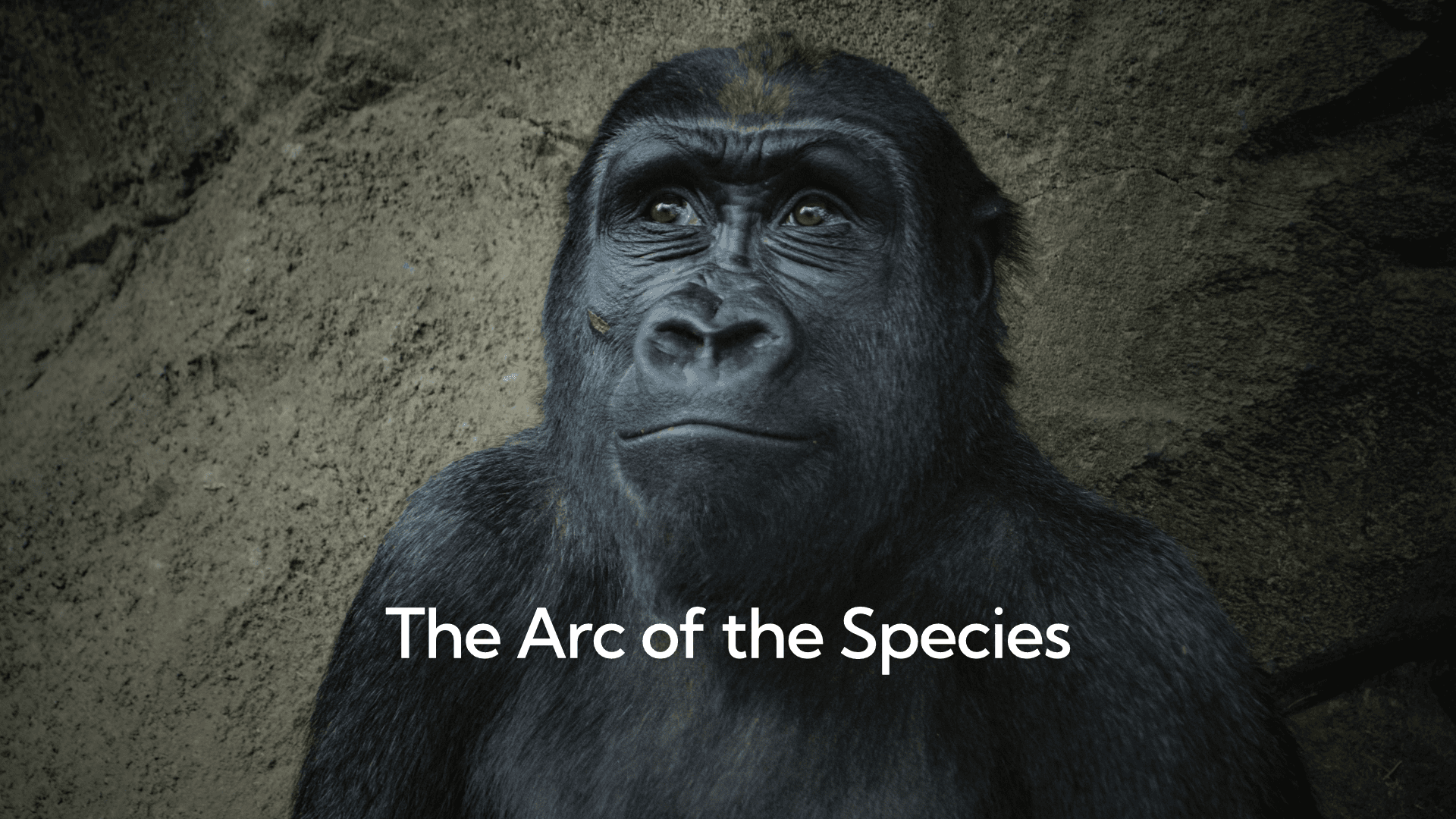 The Arc of the Species