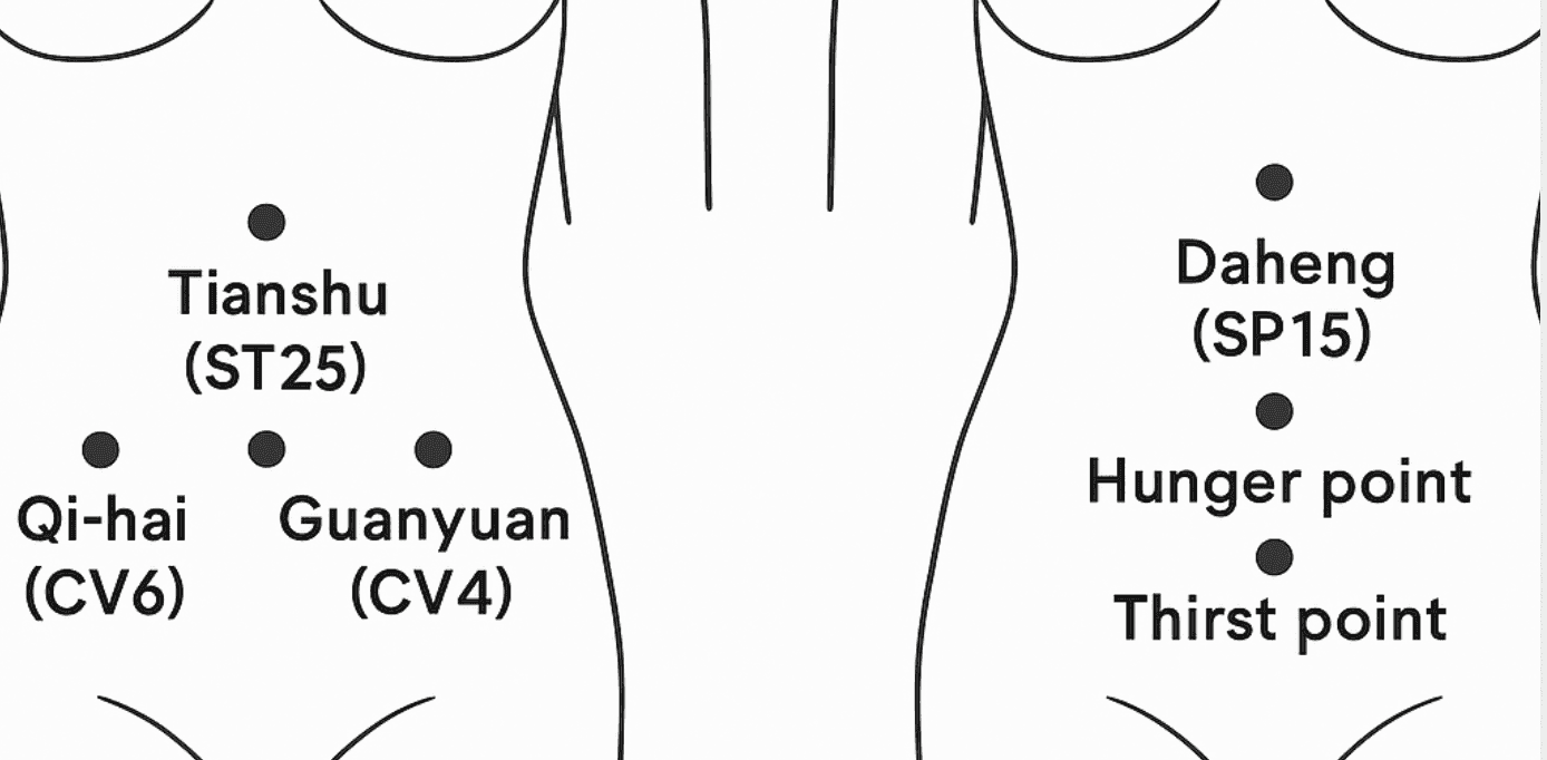 Acupressure Points for Slimming reference diagram