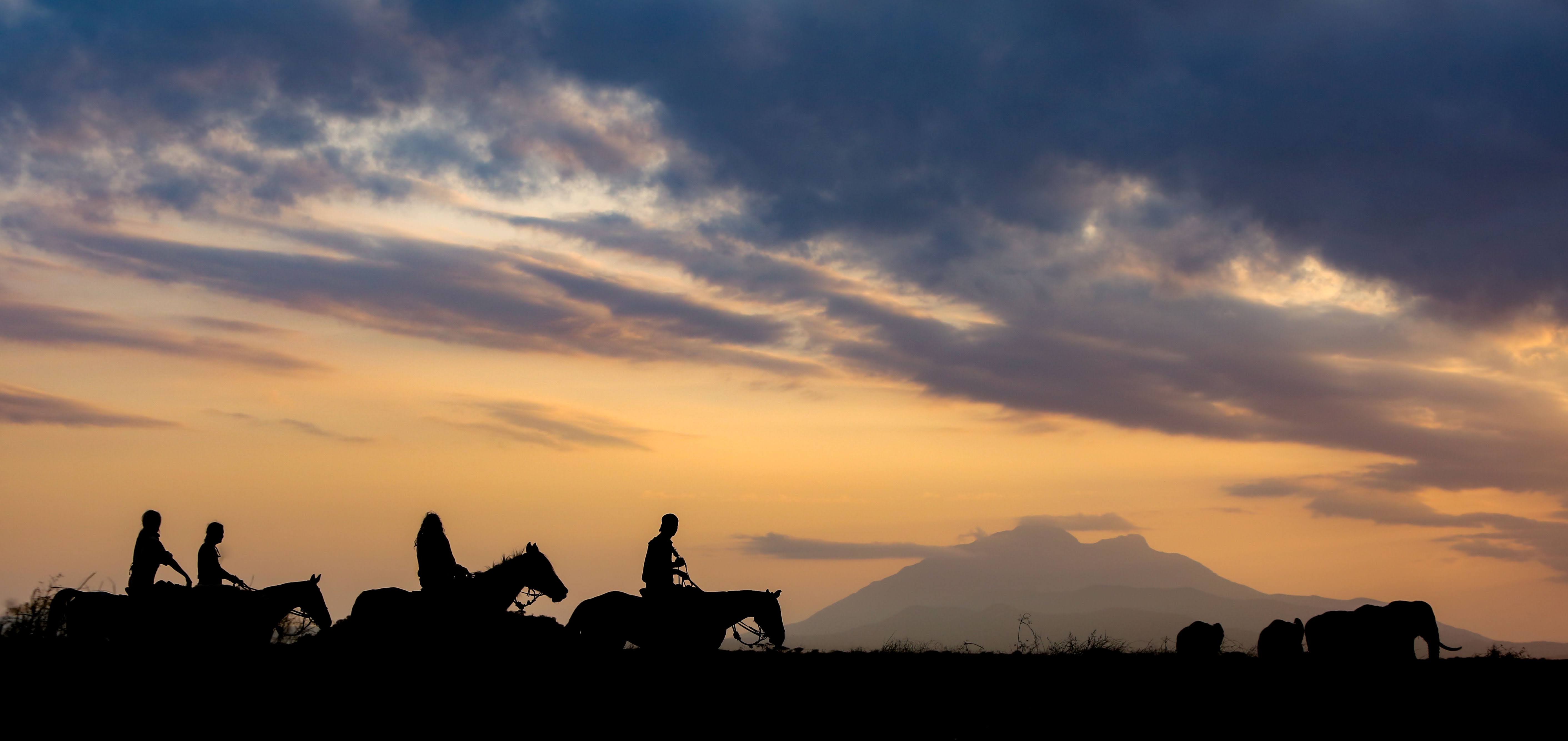 Kilimanjaro Elephant Ride ridsafari, Tanzania – silhuetter av fyra ryttare till häst med Mount Kilimanjaro i bakgrunden och tre elefanter i solnedgången.
