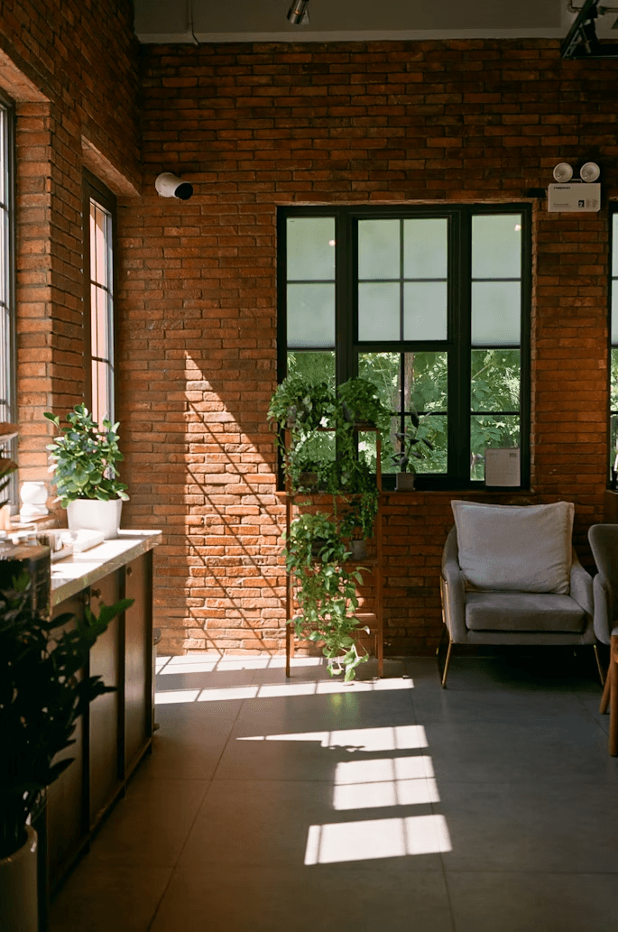 green potted plant on brown wooden table