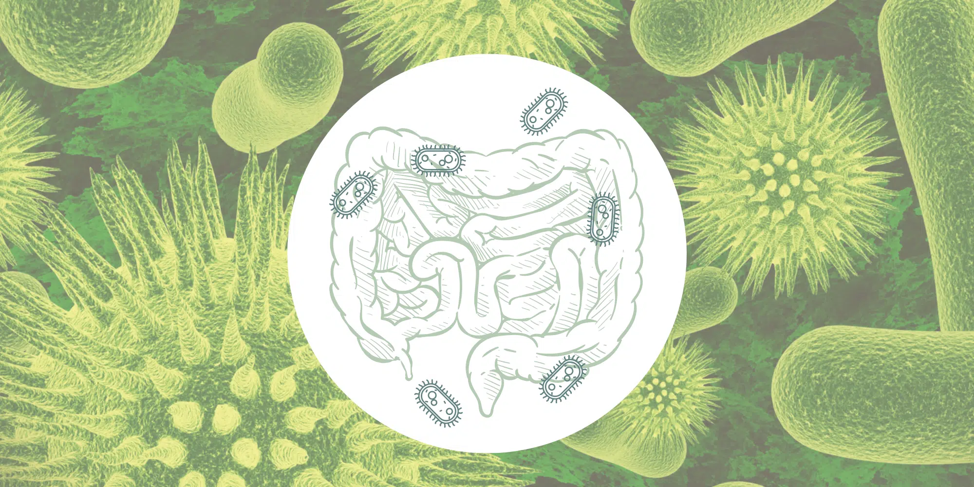 microbioom