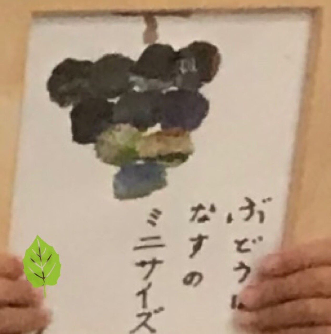 ココの杜だより 記事の写真