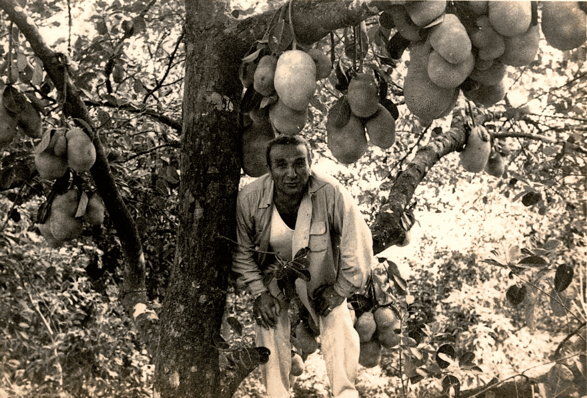 The image featured at the top of the about us page #1