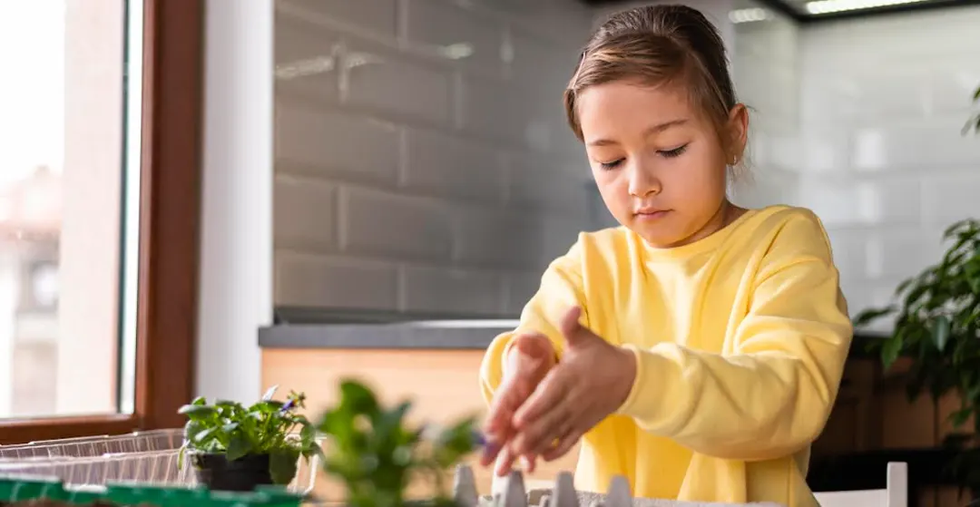 Poweredby DTL Supports Franchisees with 360° Academic and Operational Support