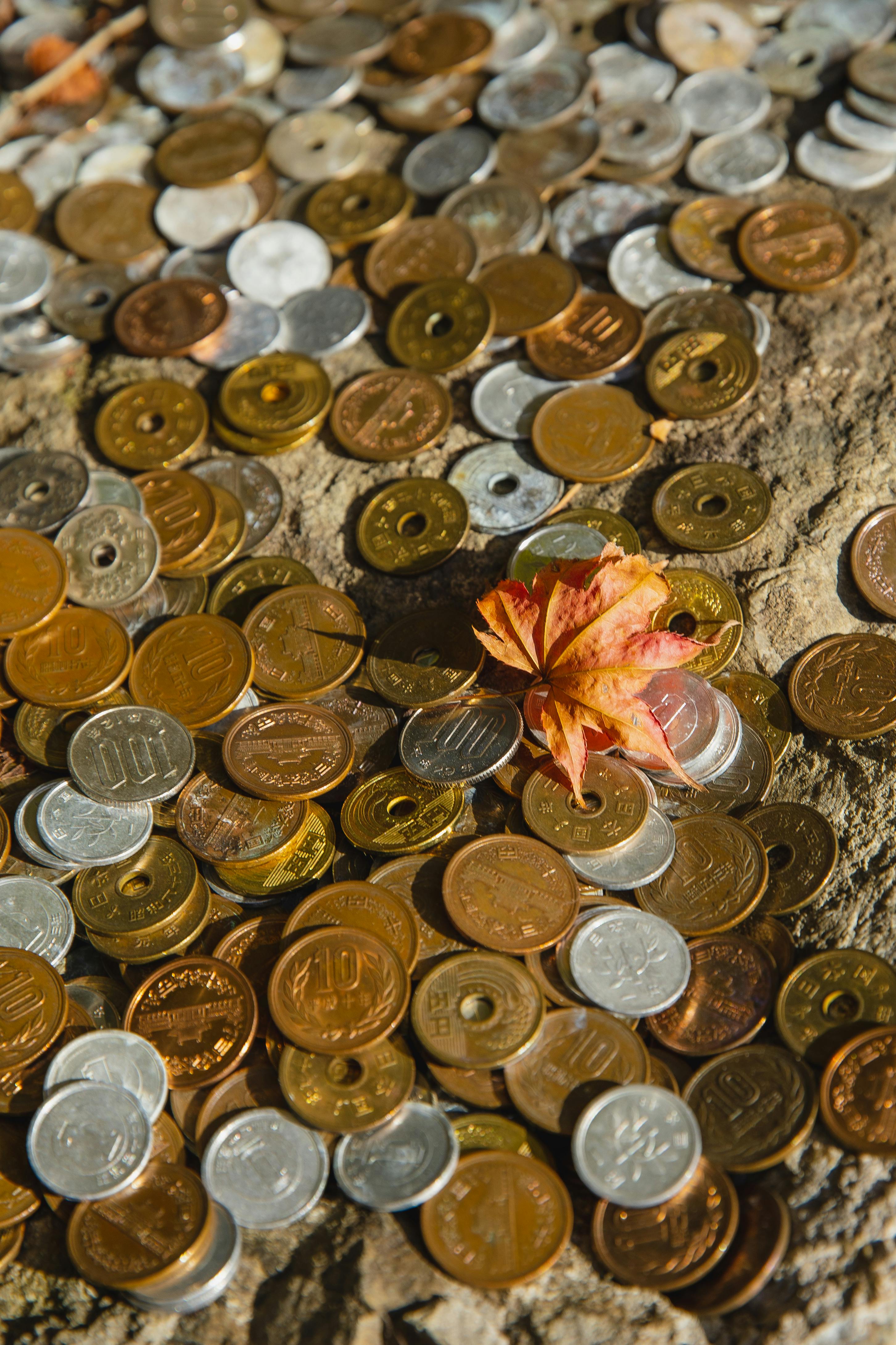 japanese yen in coins