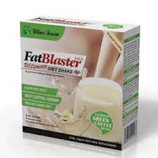FatBlaster Ultimate Diet Shake (Wins Town)