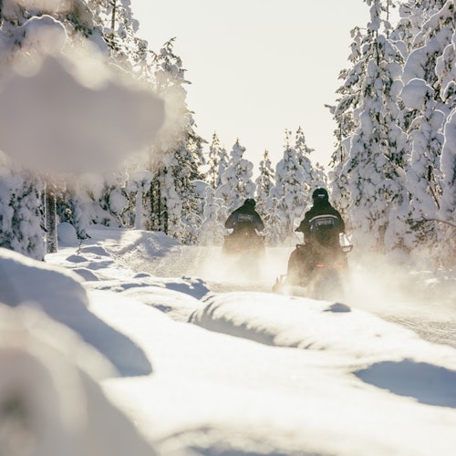 Two people ride snowmobiles on a snowy trail surrounded by snow-covered trees on a sunny day.