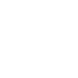 Logo Oyister Animation