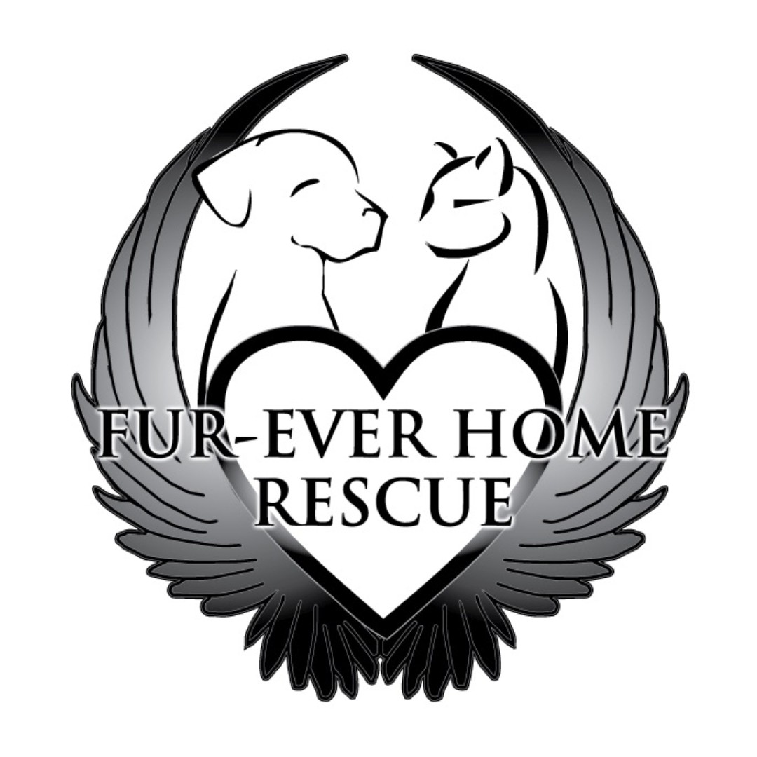 vegetable salad served on black ceramic plate