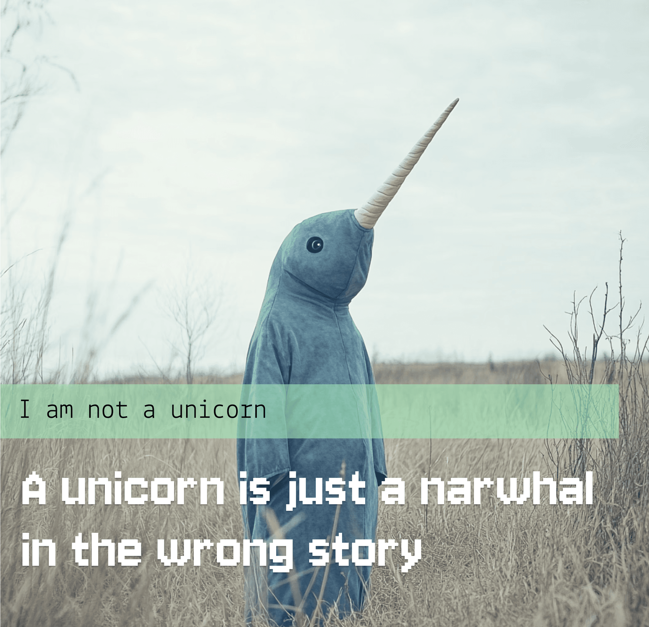 A narwhal