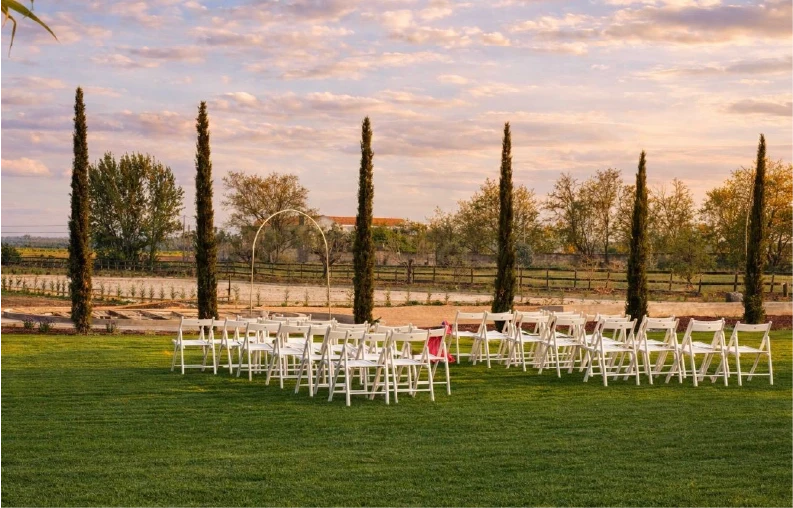 a close-up of a tree trunk