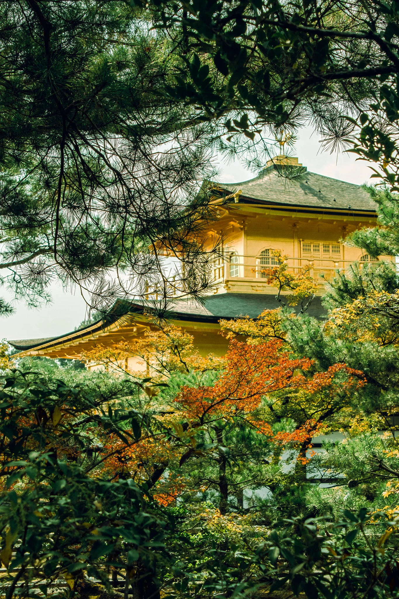 Golden Pavilion in Kyoto