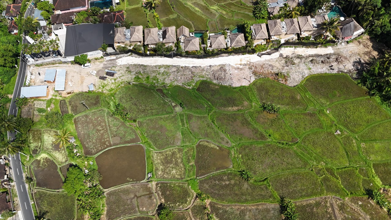Land plot 3700 m² in Ubud, Leasehold