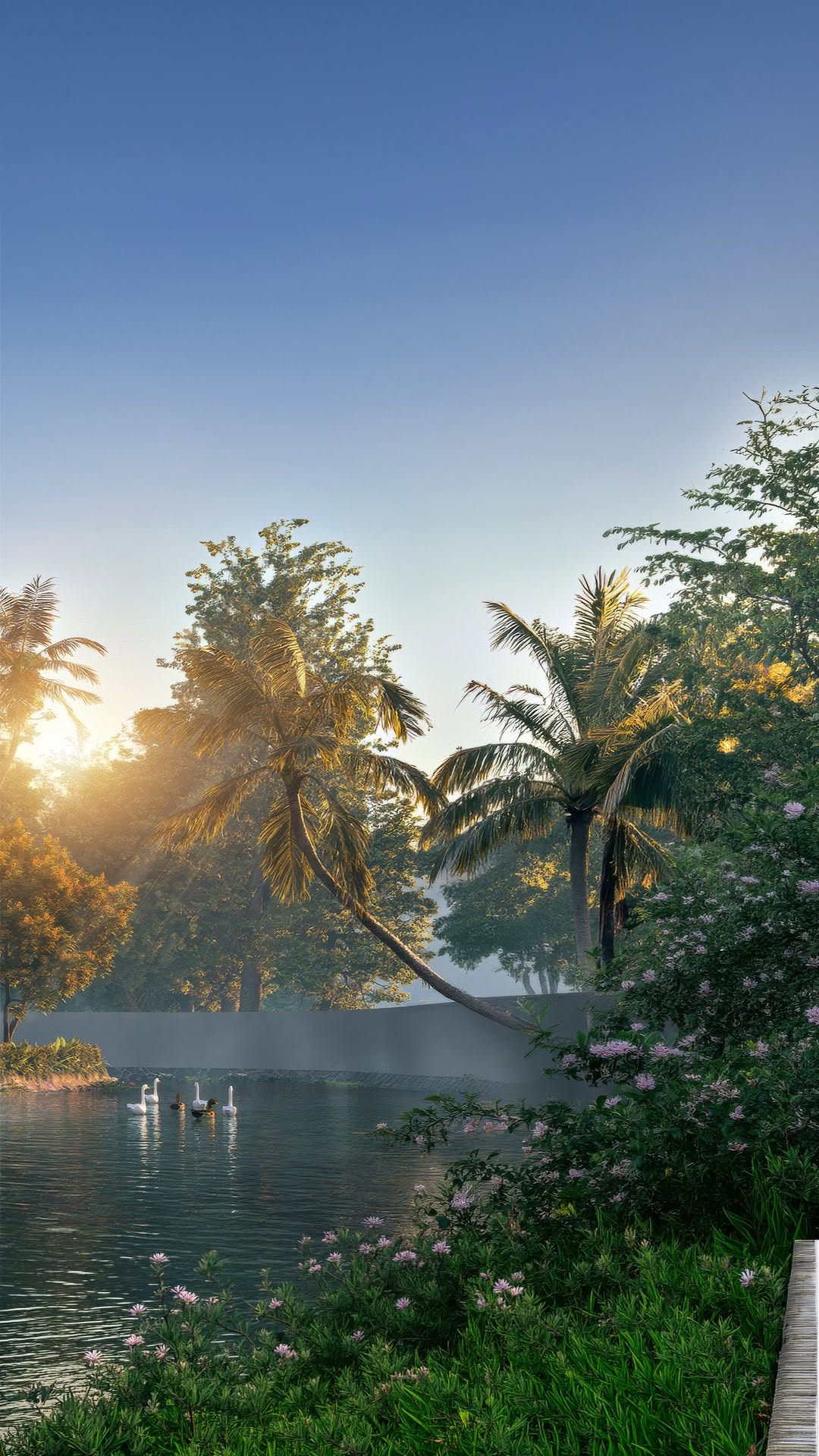 The Nomad Expedition