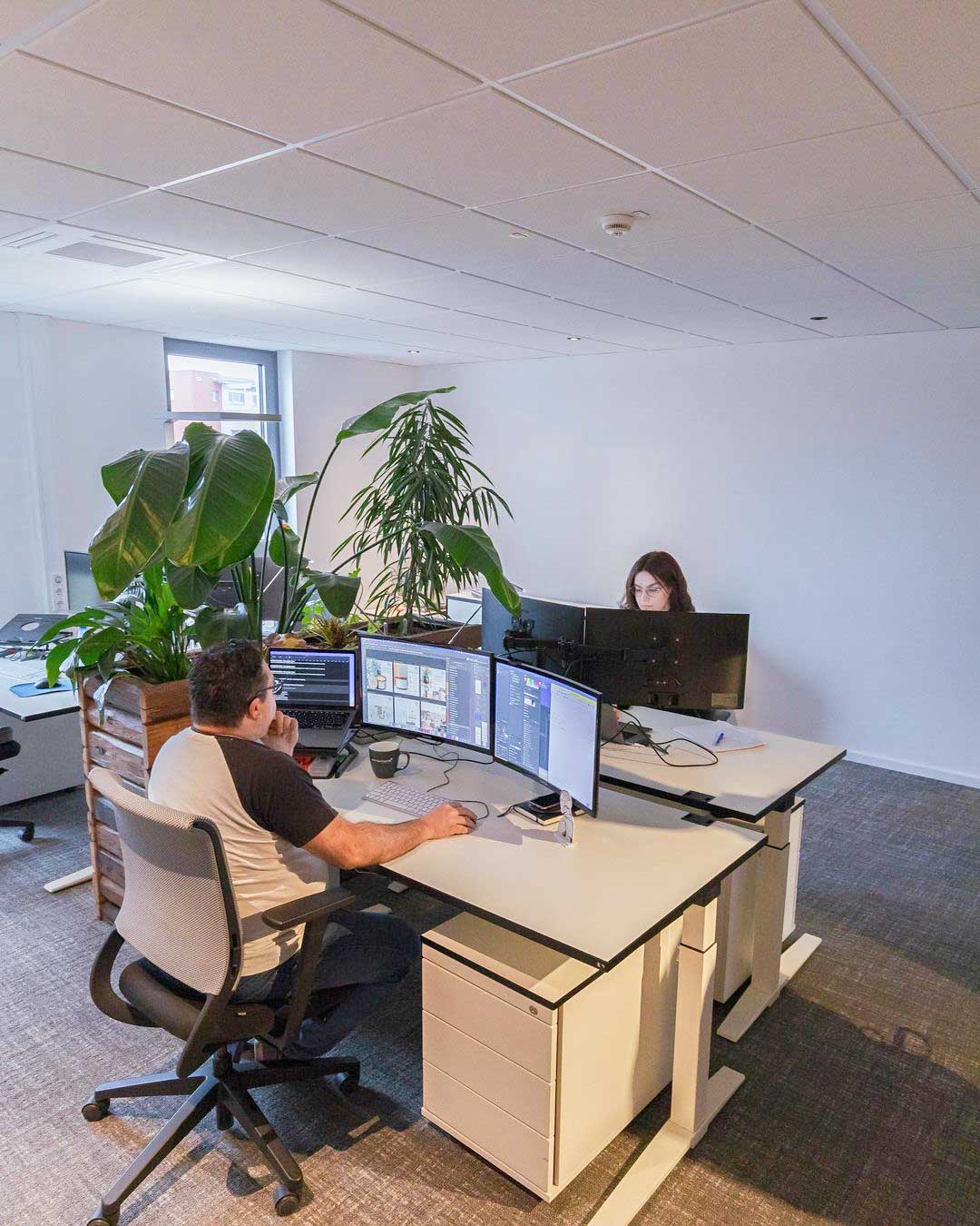 Mitarbeiter:innen am Schreibtisch bei rankk.