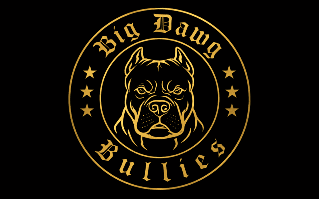 American Bully XL Puppies for Sale