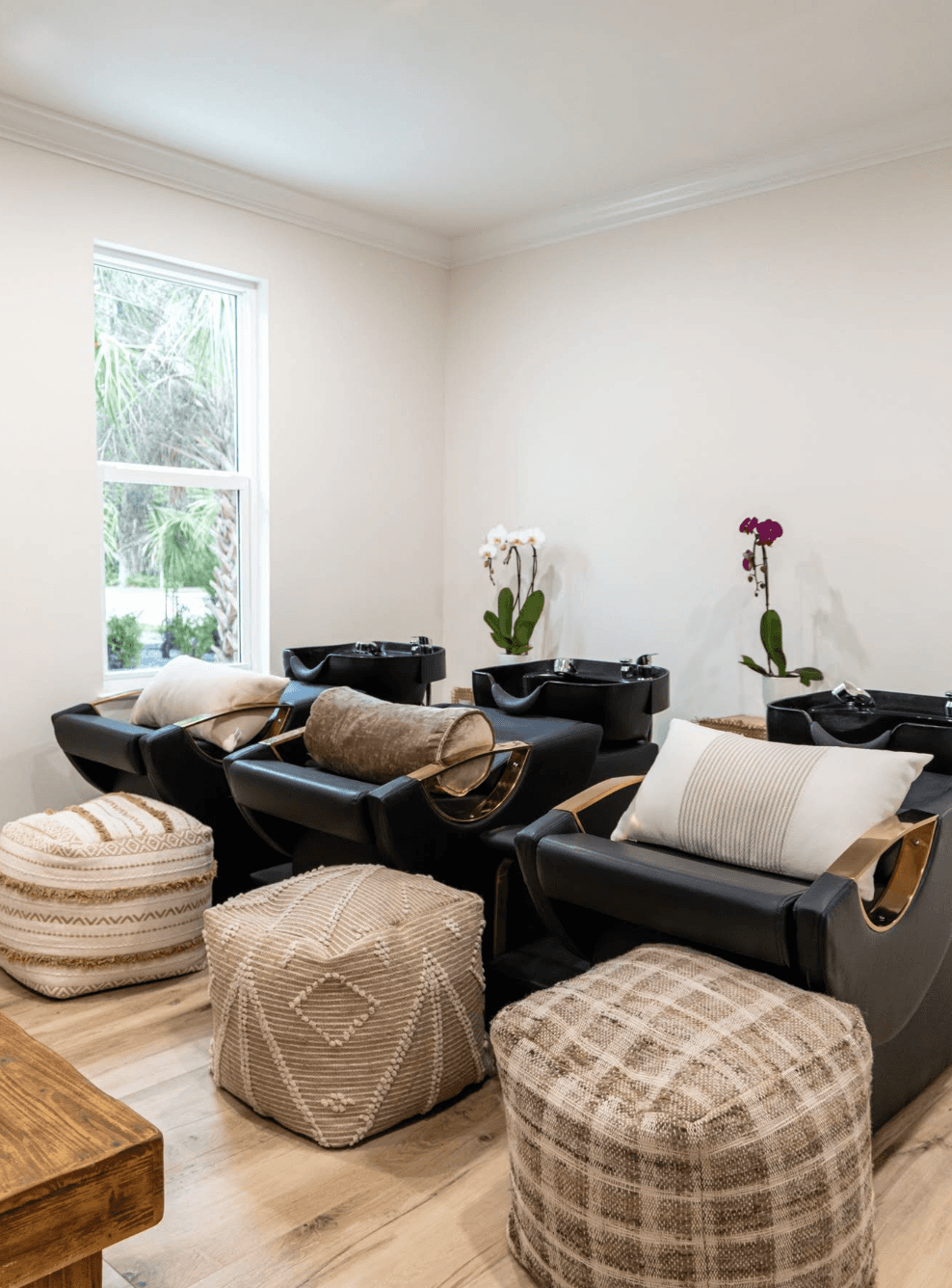 Salon Washing Chairs