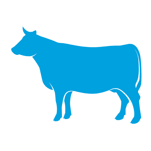 Ruminants Icon