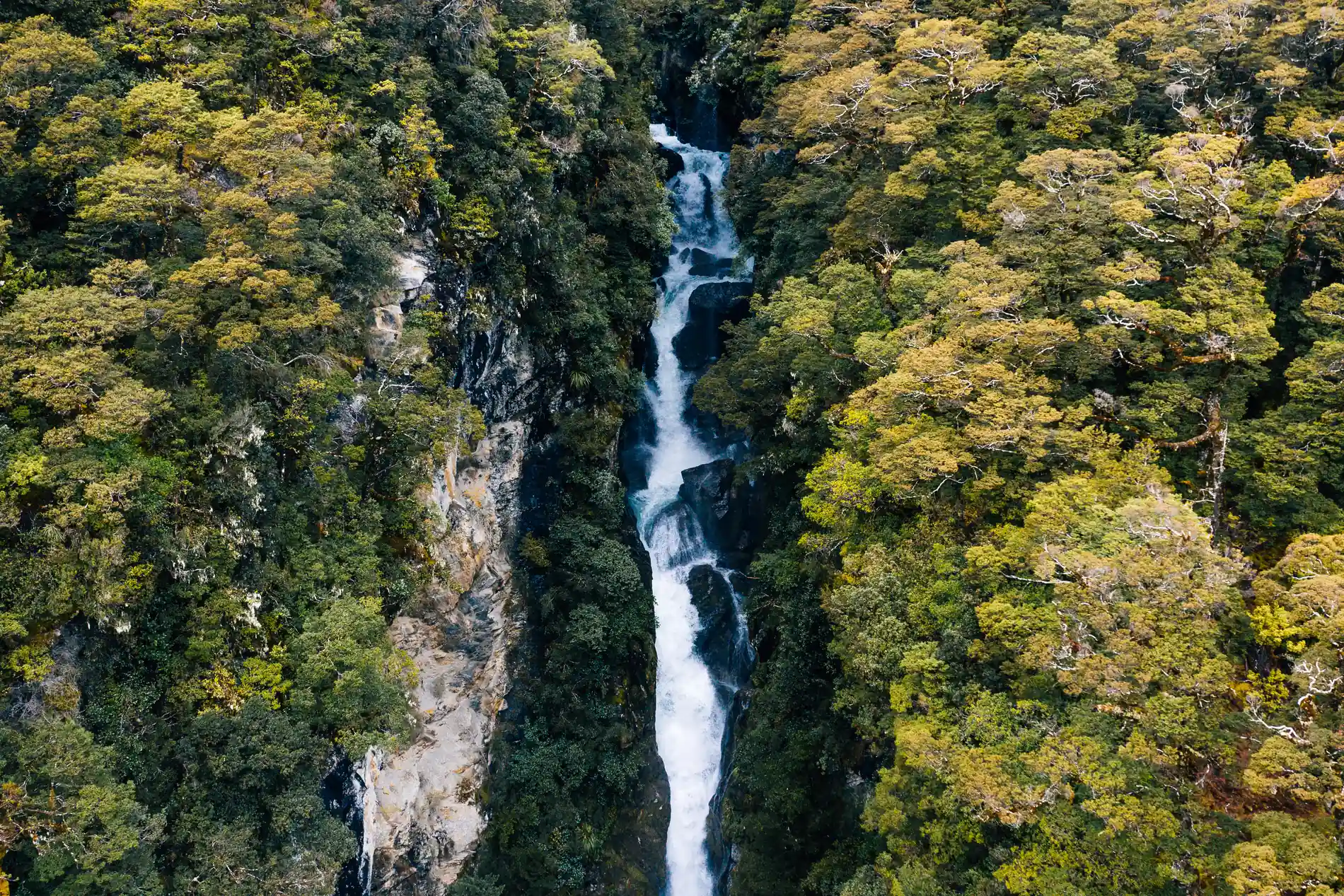 Aerial of a waterfall dropping through a narrow forested gorge