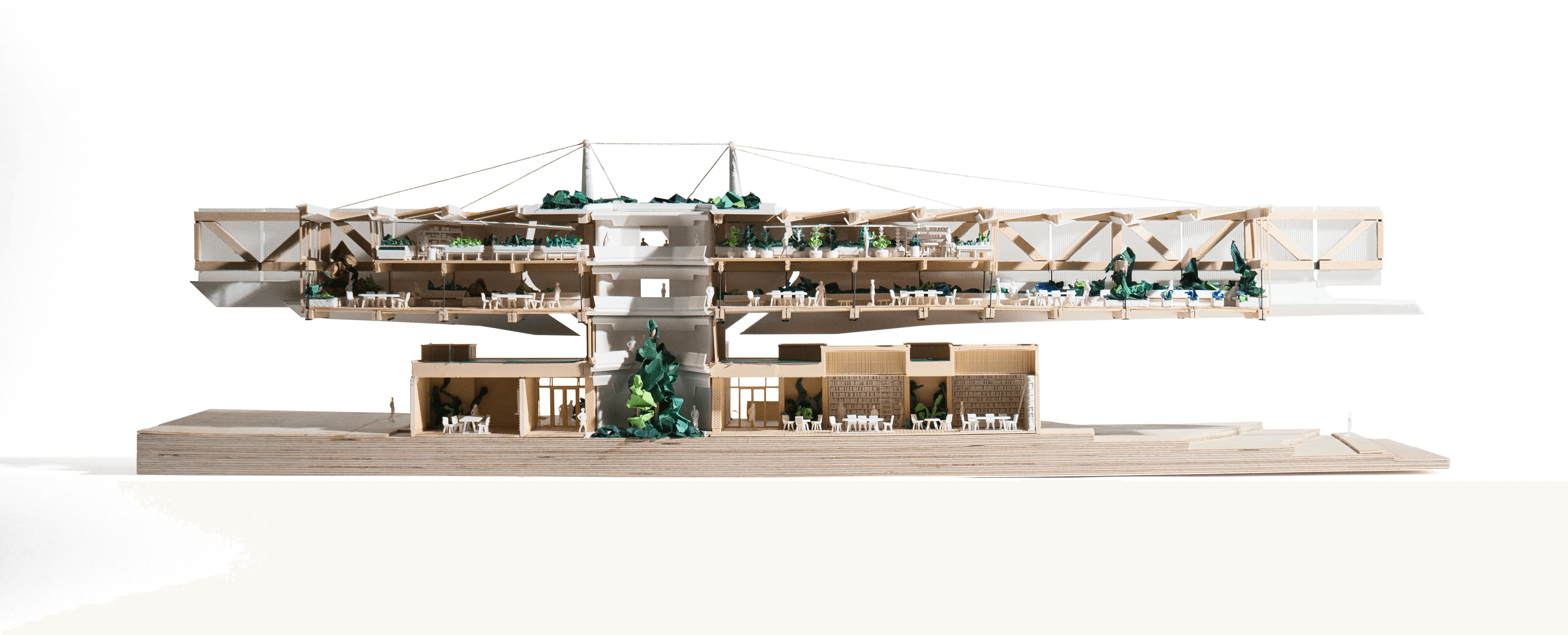 1/8" Sectional model showing the combined library and greenhouse spaces.