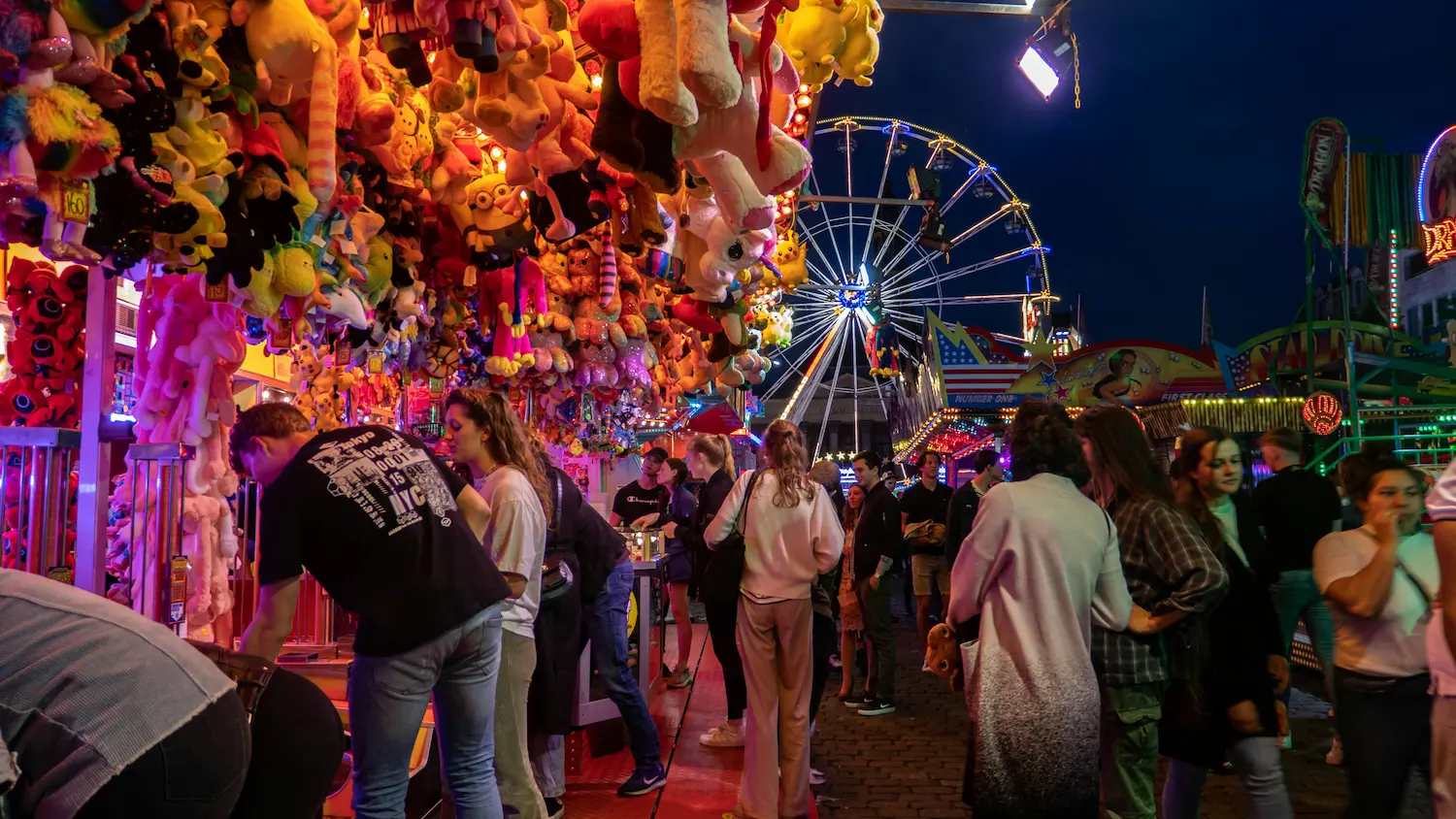 midway at the manatee county fair  in palmetto, fl