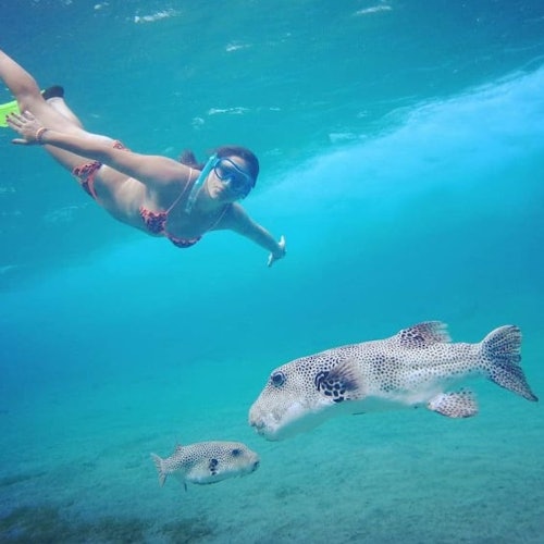 snorkeling