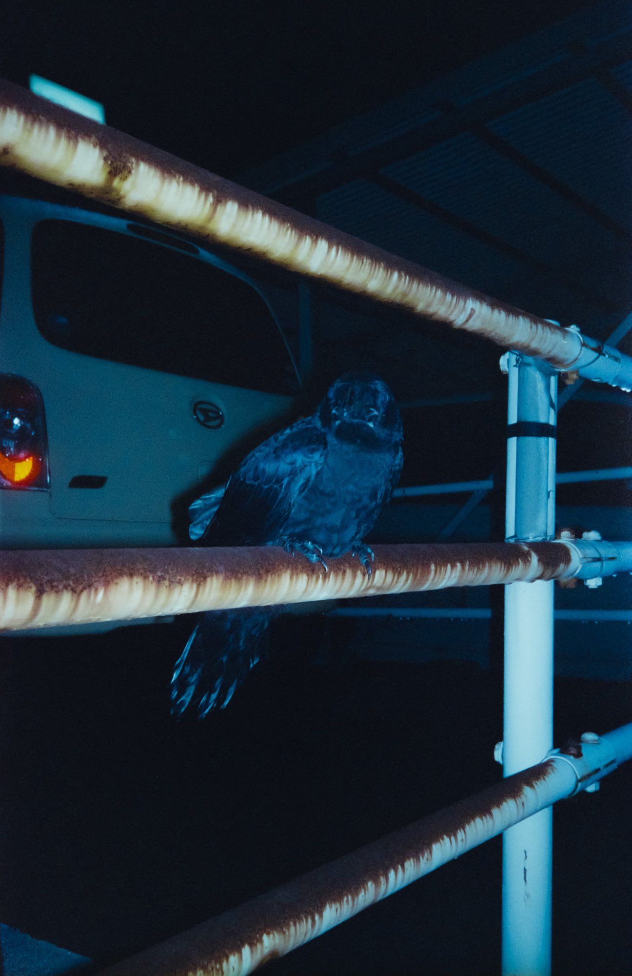 Taisei Matsumoto, archive random photograph 129
