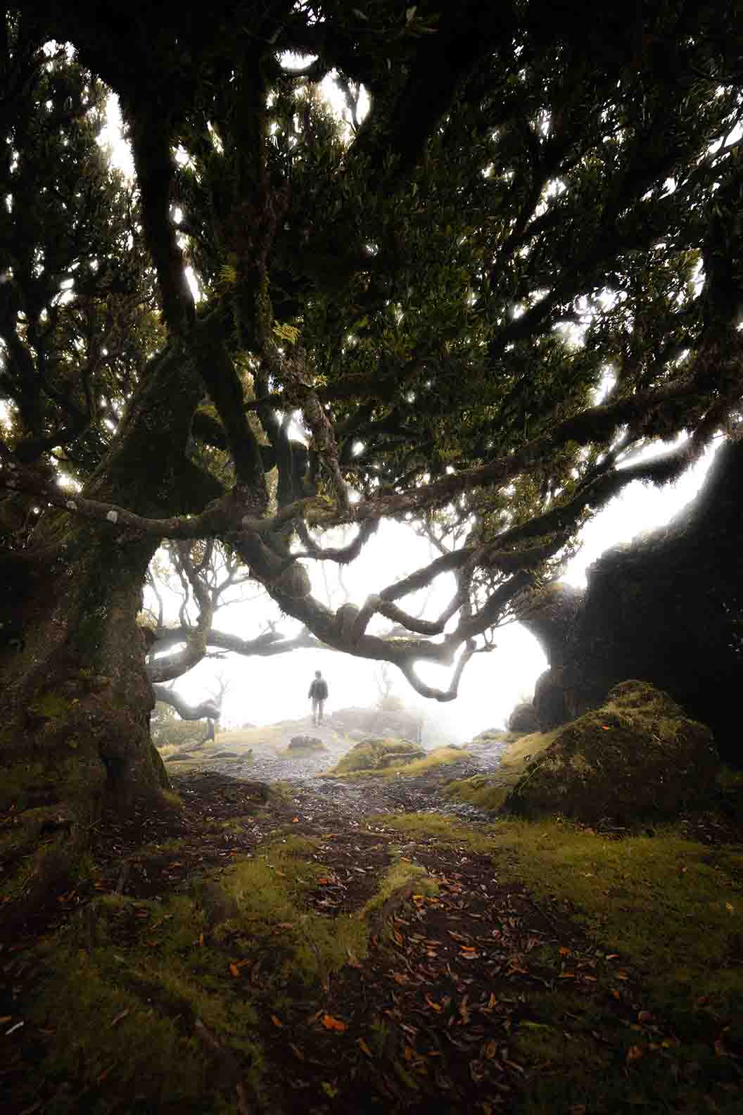 Cover image of the short film “Beyond the Wave”