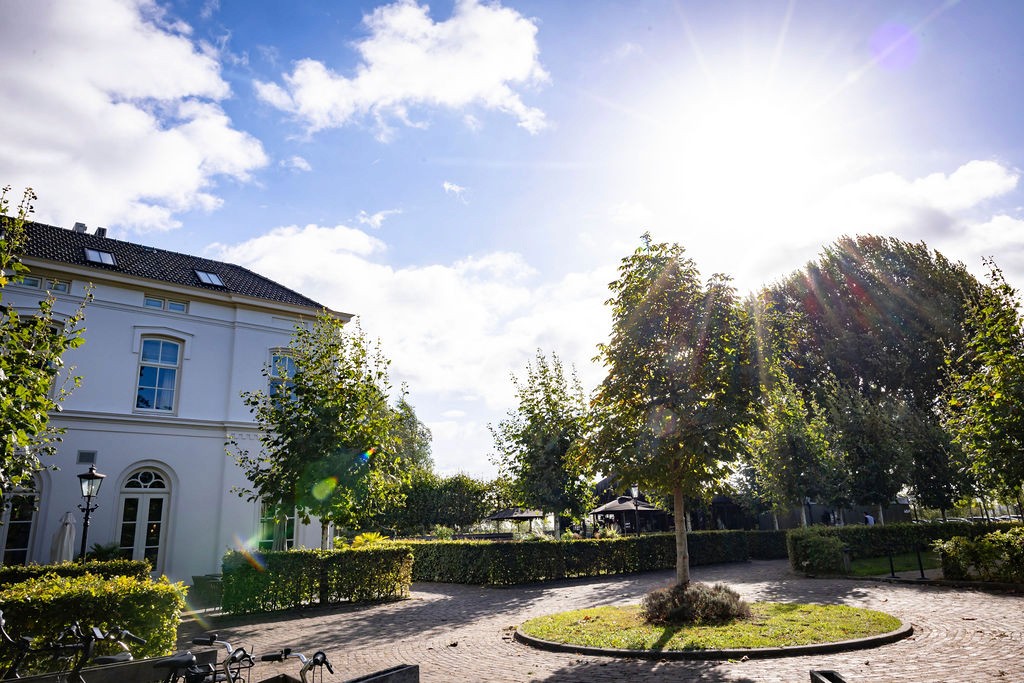 Sage green walls bedroom with lilac duvet and modern style