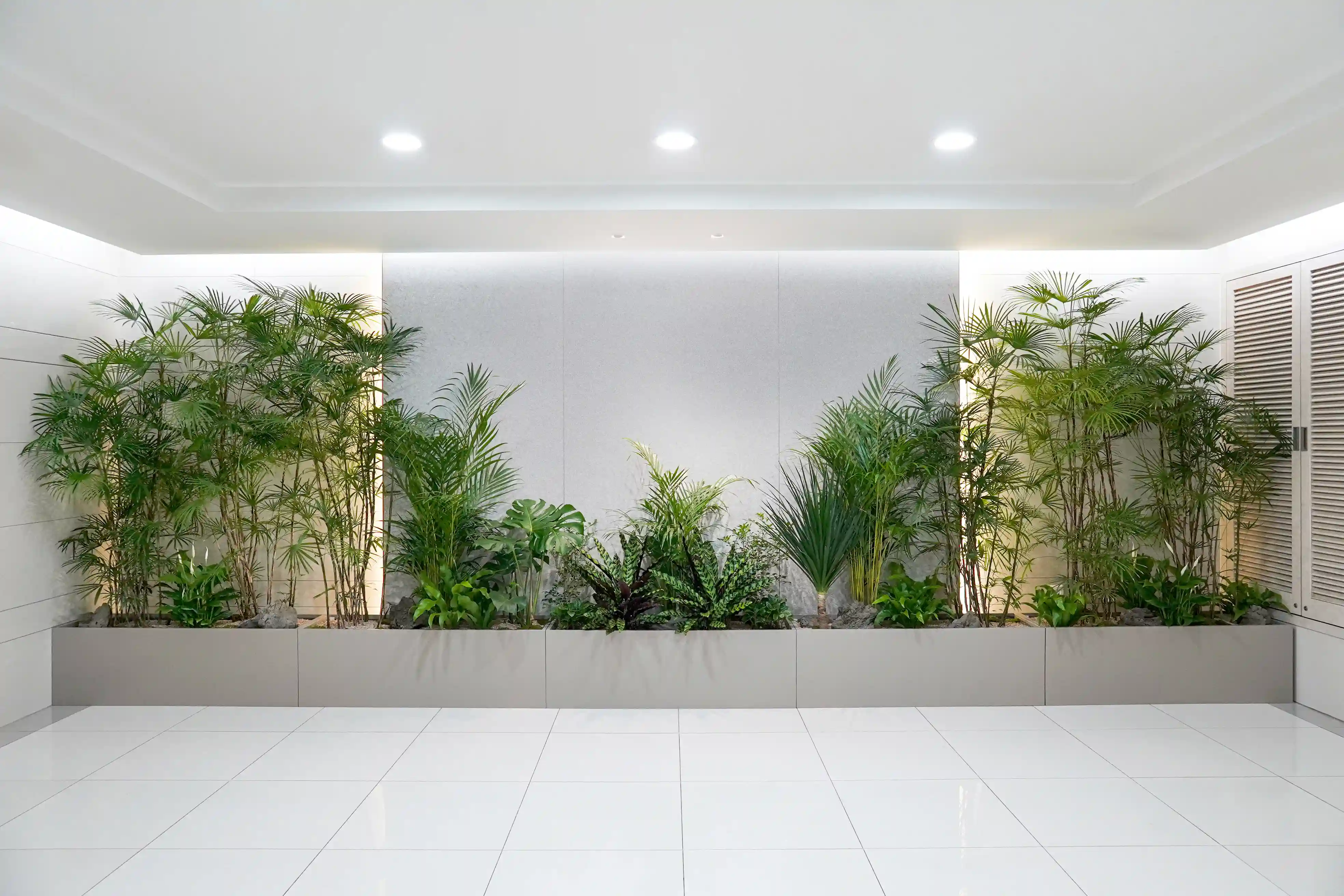 건설회사에 설치된 에코피플의 플랜테리어 디자인