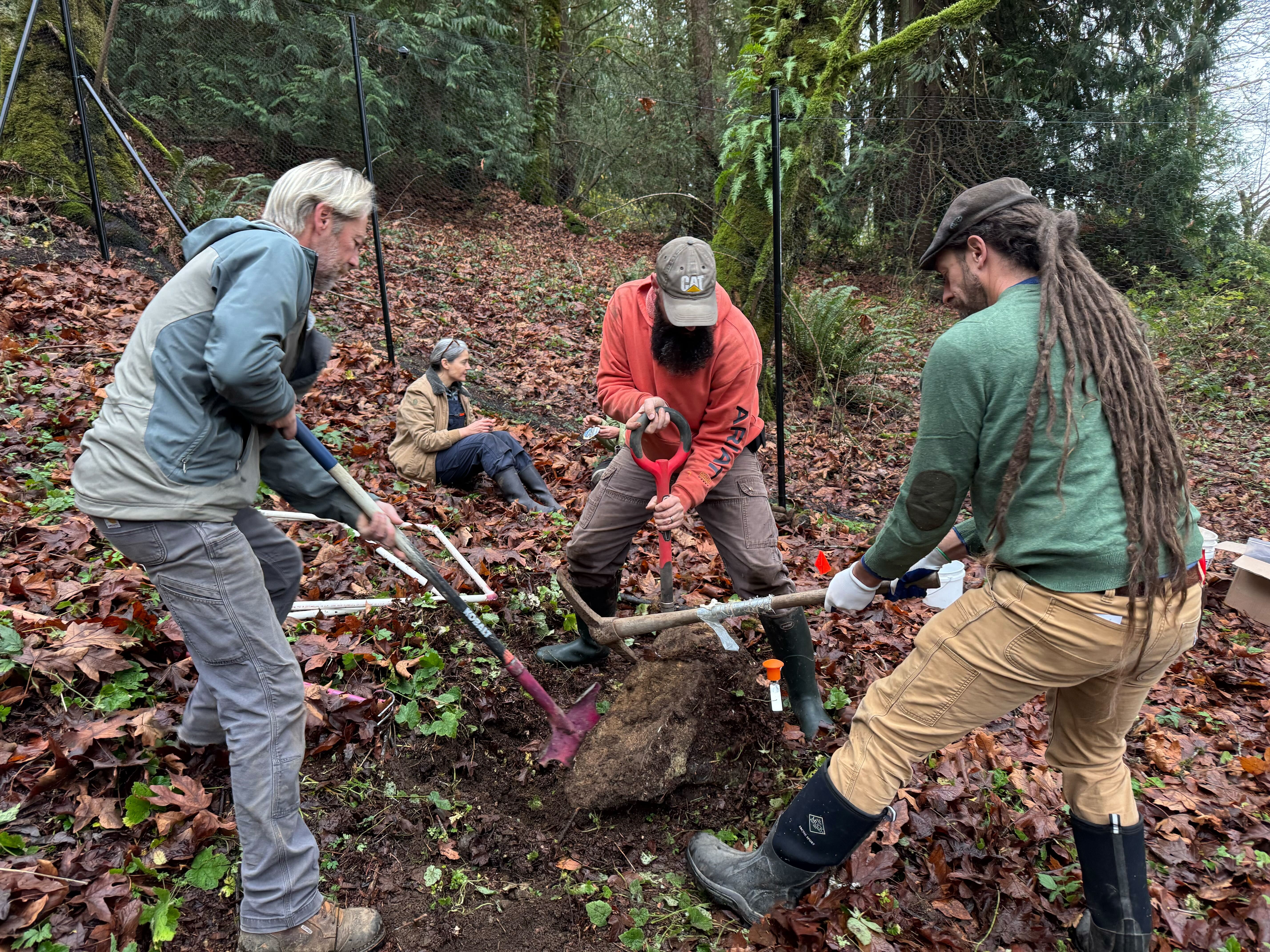 Digging out a large rock
