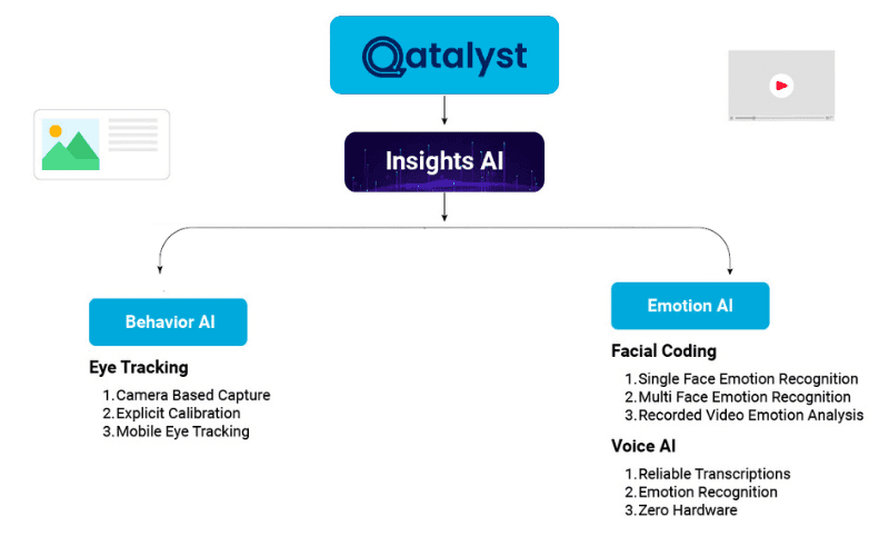A diagram of a companyDescription automatically generated