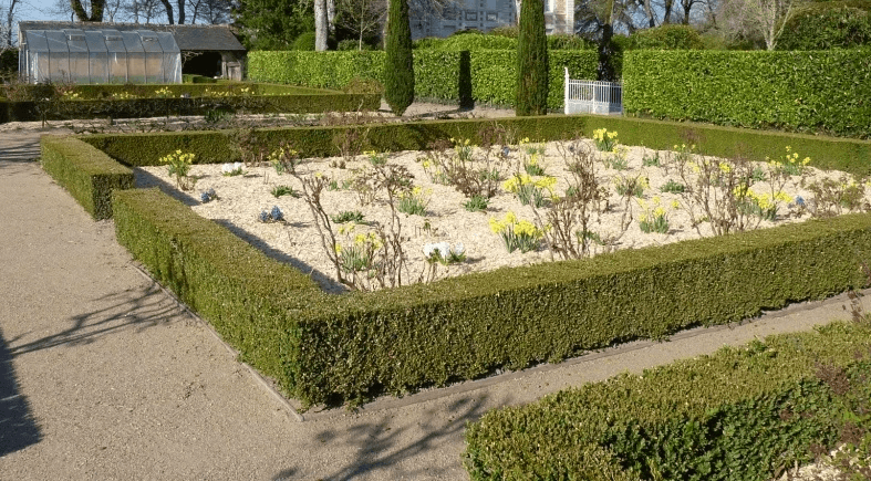 Entretien de massif et fleurissement