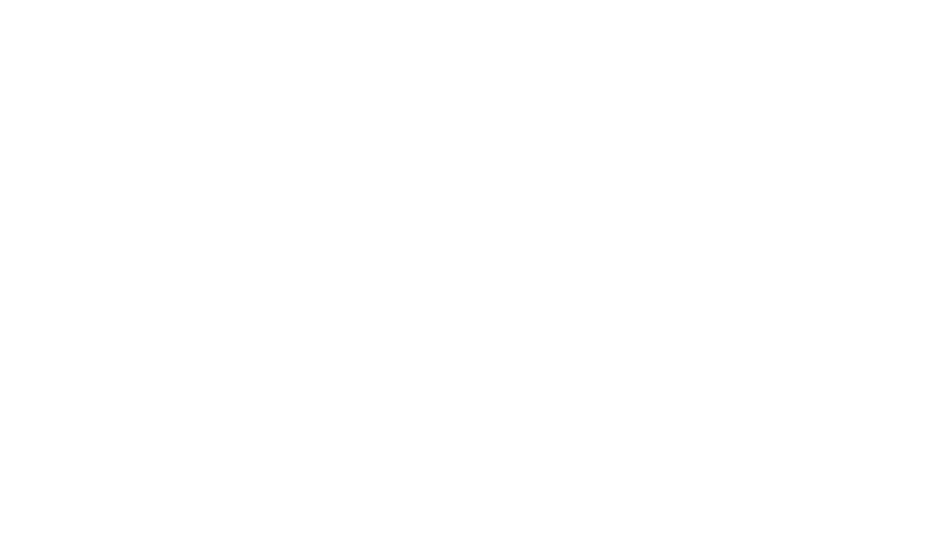 Cerveza Minerva