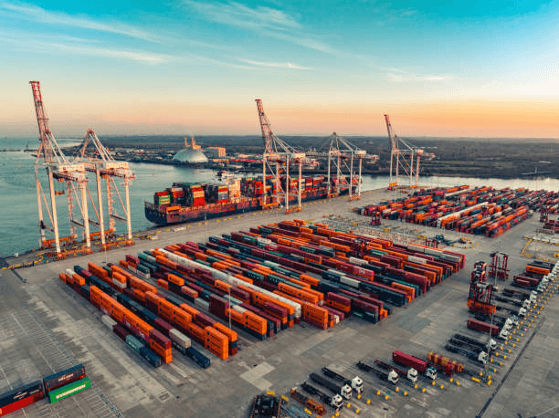 Vibrant open-plan office with colorful decor and many plants.