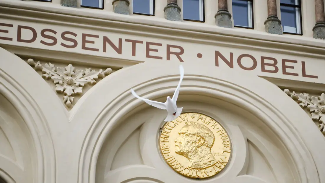 Hvit due foran fasaden til Nobels fredsenter.