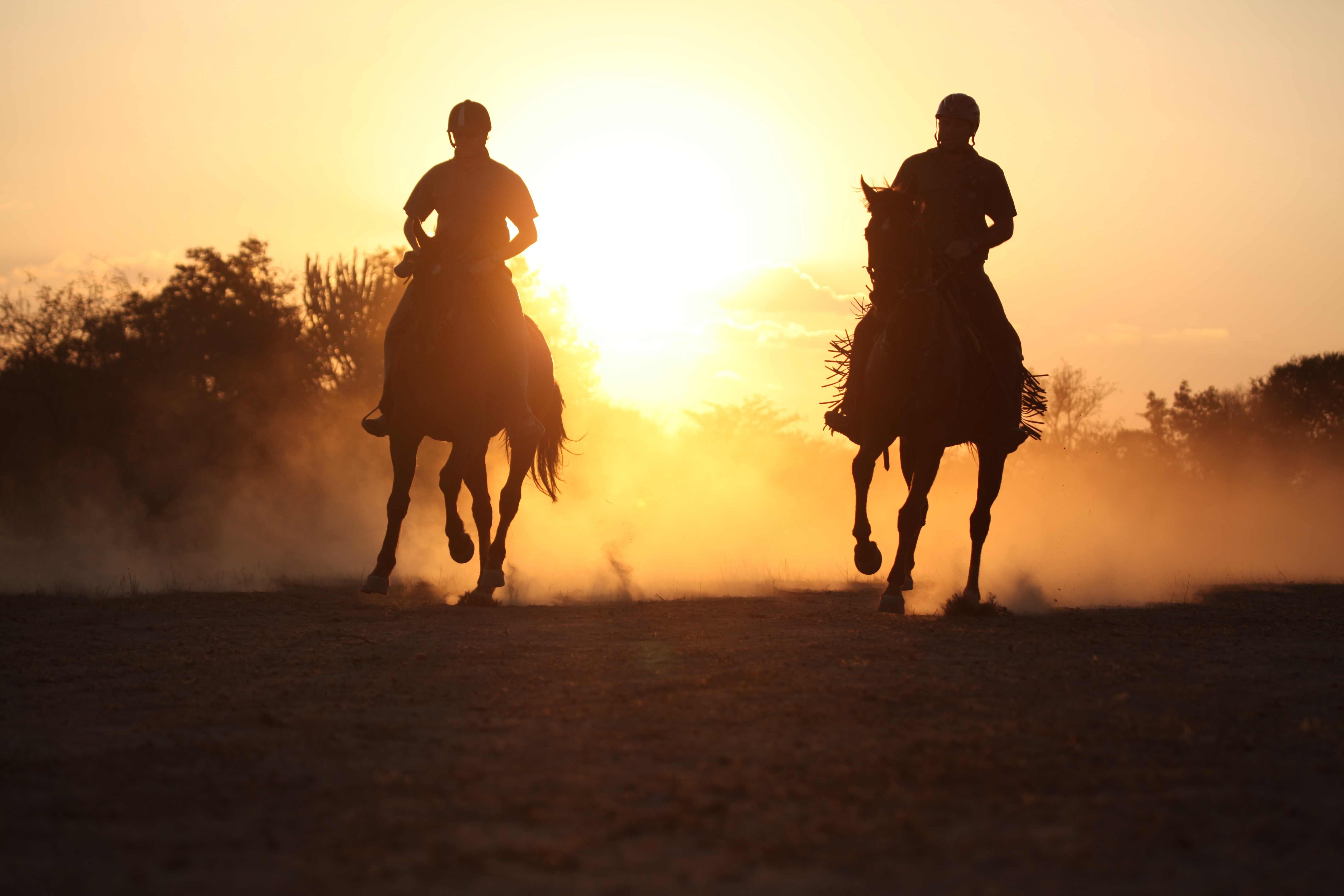 Grupp av ryttare på ridresa i Afrika galopperar över Serengetis vidsträckta slätter medan damm och gnuhjordar rör sig över horisonten under the great migration.