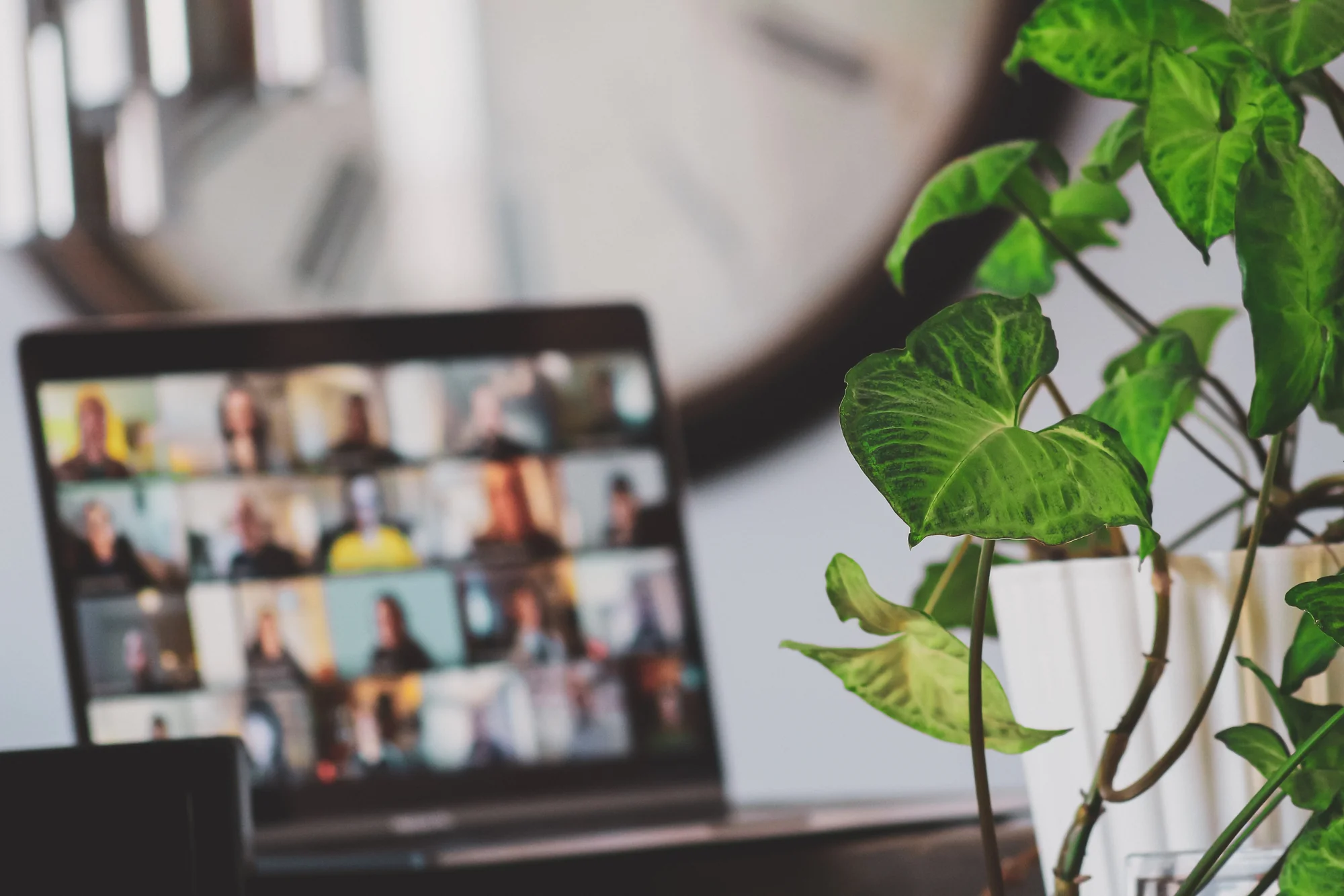 Multiple virtual meeting participants in online conference