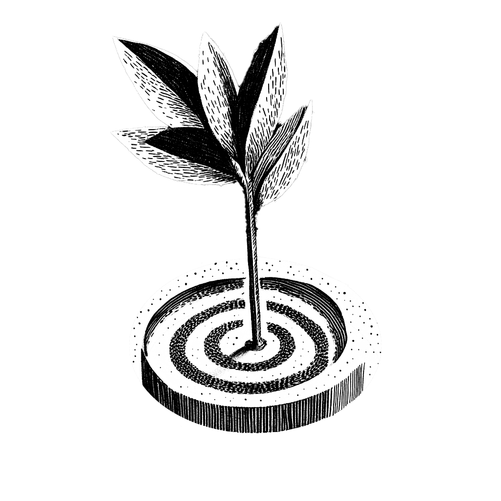 Illustration en noir et blanc d'une plante poussant à travers un cercle concentrique symbolisant le succès.