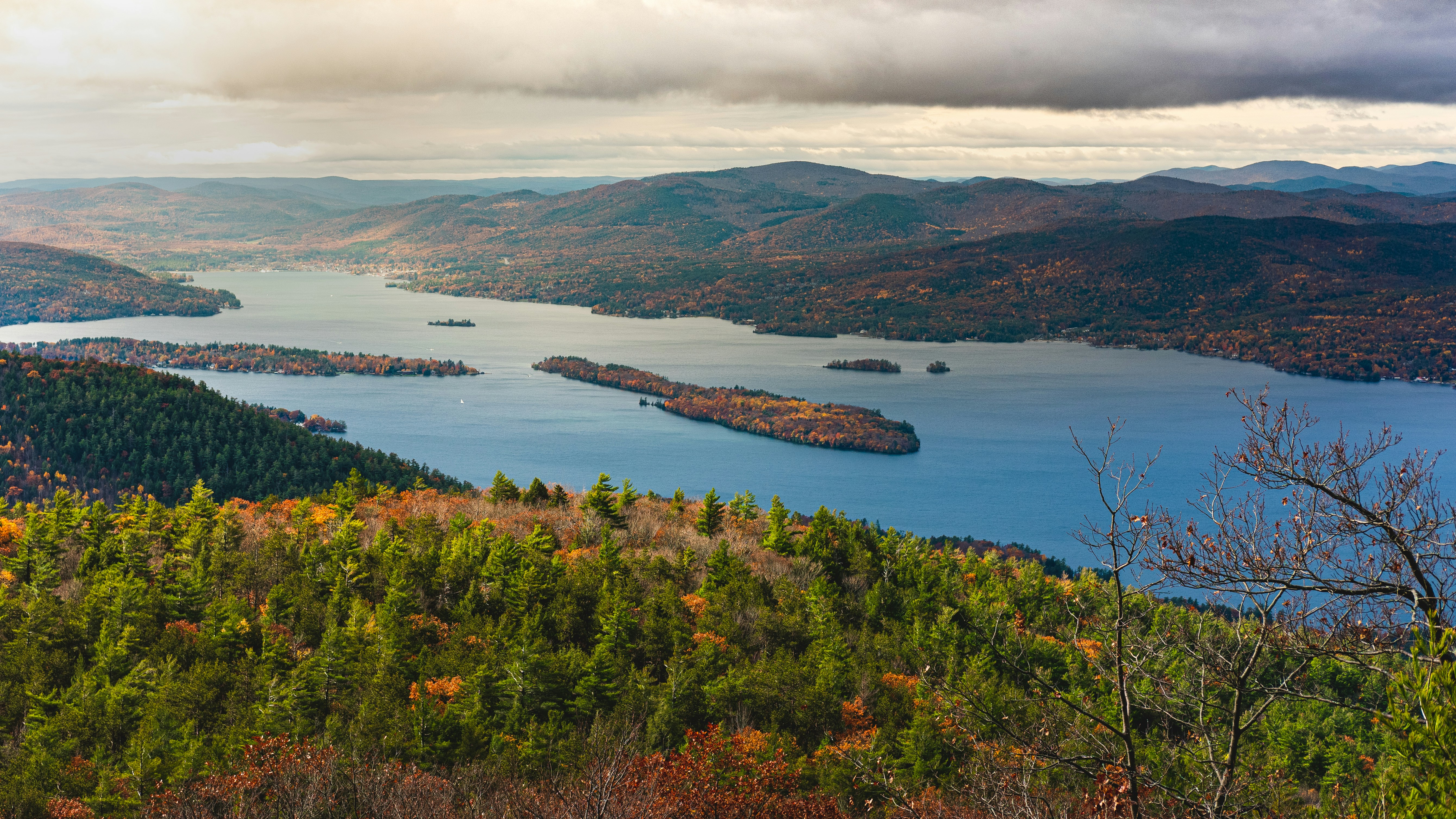 green trees near body of water during daytime