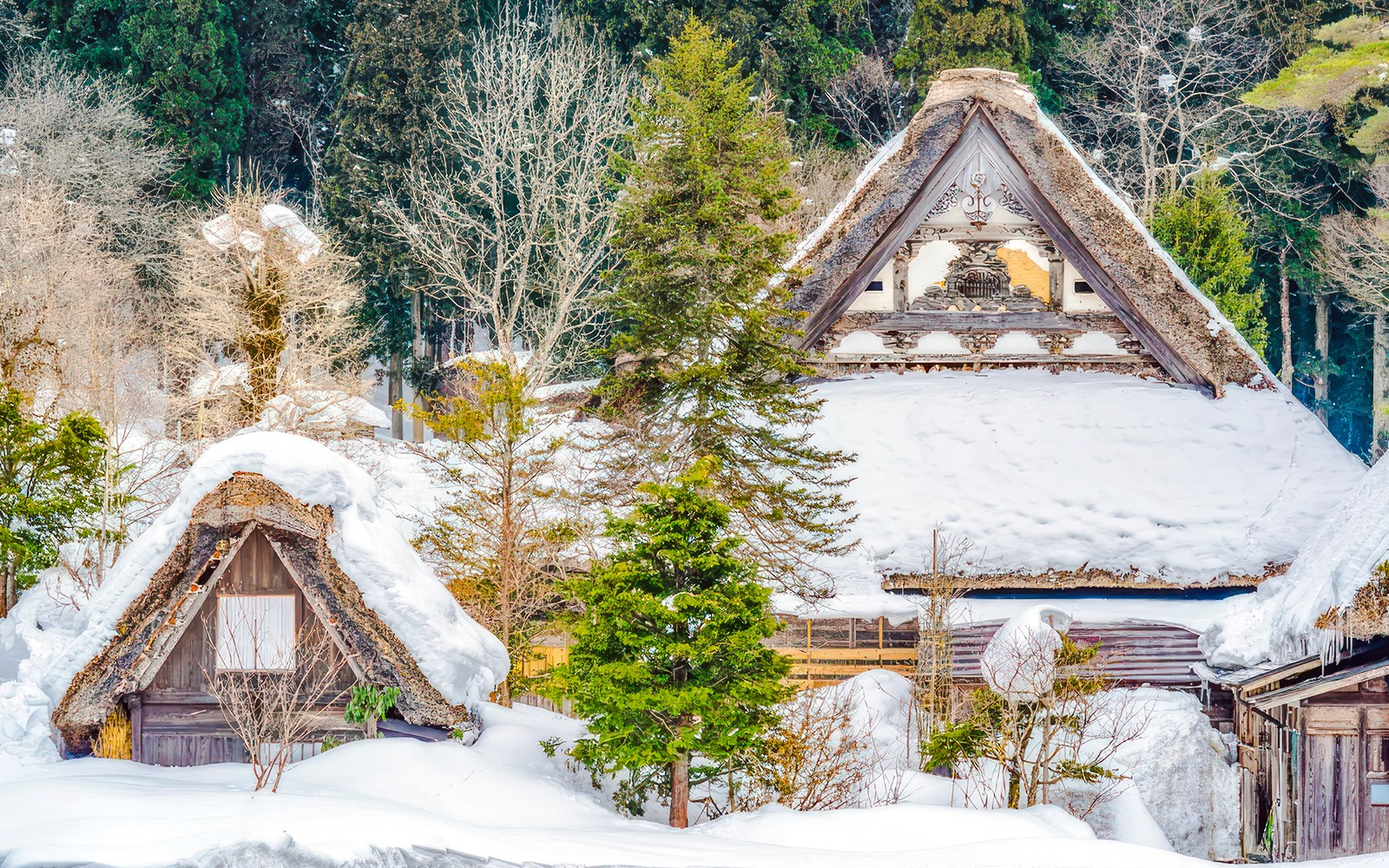 Traditional gassho-style houses in snow-covered Shirakawa-go village, Japan.