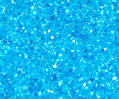 Face on view of Reef Blue