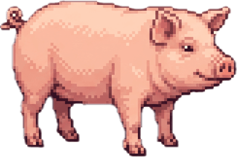 Pig