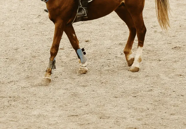 Arena and track footing made from pit sand for equestrian drainage and levelling