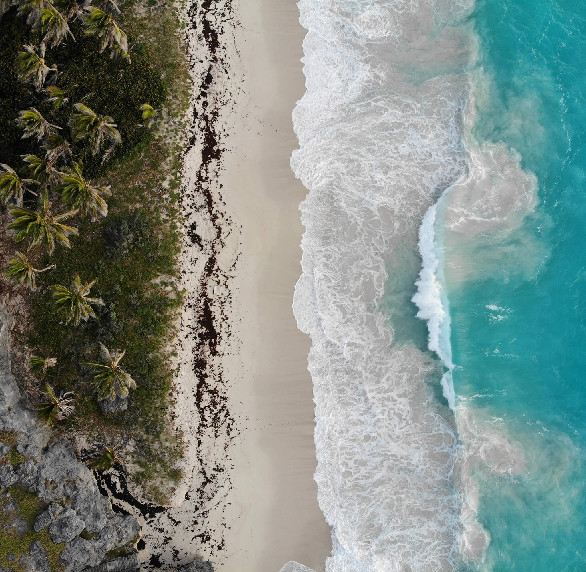 Beach with palm trees and ocean with waves, view from above