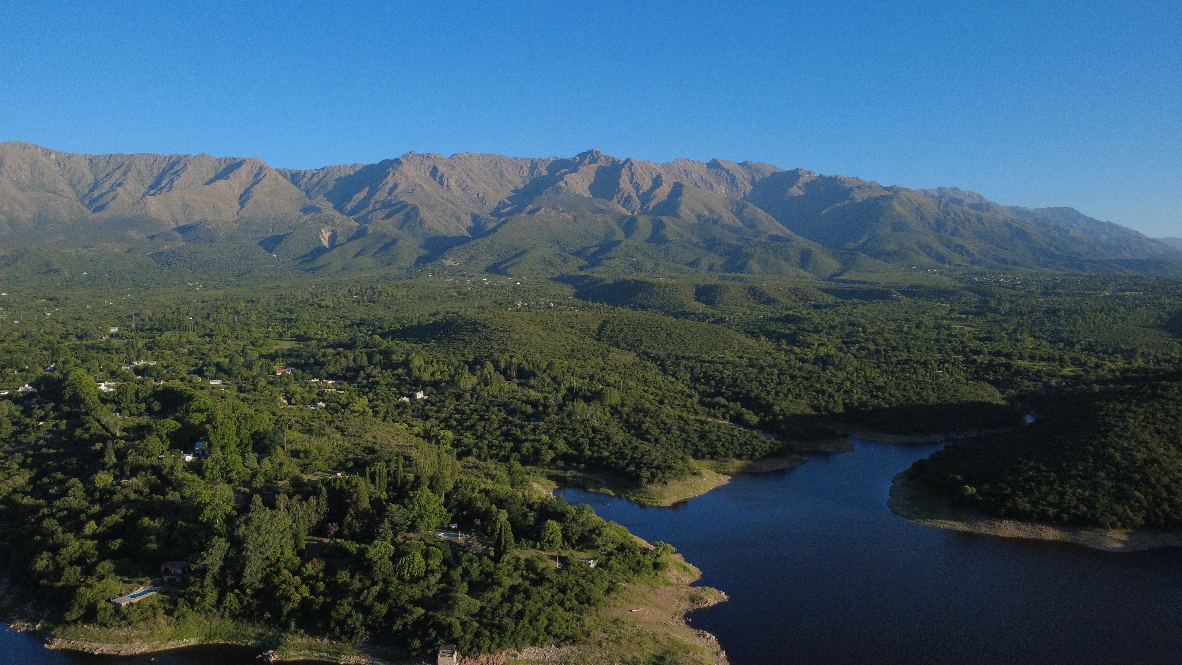 person sitting on grass and using phone